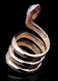 кольцо змея 3