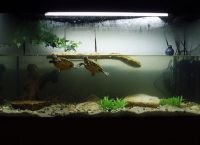 аквариум для черепахи 11