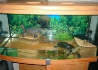 аквариум для черепахи 12