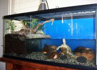 аквариум для черепахи 15