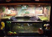 аквариум для черепахи 18