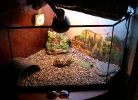 аквариум для черепахи 2