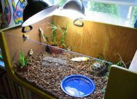 аквариум для черепахи 9