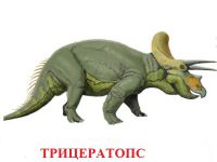 динозавры для детей 1