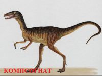 динозавры для детей 9