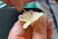 Цветы из сахарной мастики своими руками