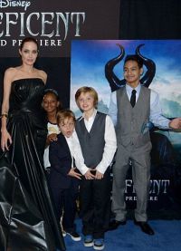 Анджелина Джоли получит право попечительства над их шестью детьми до 20 октября