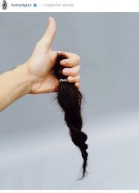 Гарри рассказал, что обрезал волосы, поделившись снимком в интернете