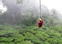 Зип-лайнинг над тропическим лесом