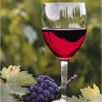 как приготовить домашнее виноградное вино