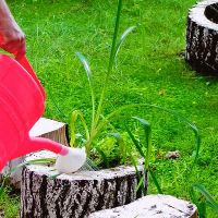 как сделать удобрение из травы