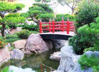 мост в саду