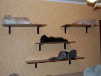 Полки для кошек на стену  6
