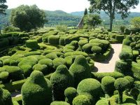 Топиарные сады - удивительные формы1