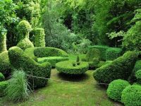 Топиарные сады - удивительные формы6
