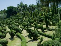 Топиарные сады - удивительные формы9