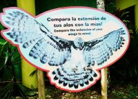 Полезная информация о гарпиях в зоопарке Панамы