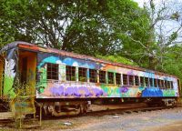 Старый вагон, украшающий территорию зоопарка