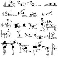 упражнения для выпрямления спины