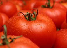 самые вкусные сорта томатов