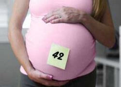 41 42 неделя беременности
