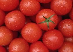 сколько калорий в свежем помидоре