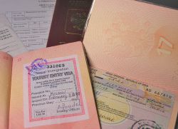 индия виза для россиян 2015