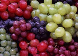 лучшие сорта винограда