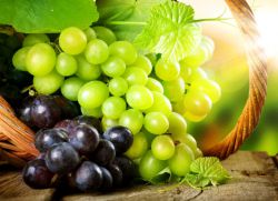 лучшие столовые сорта винограда