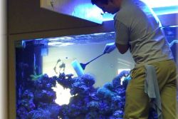 Как чистить аквариум1