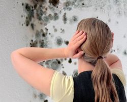 Как удалить плесень со стен