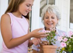 Какие цветы подарить бабушке