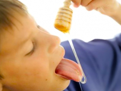 Лечение стоматита у детей медом