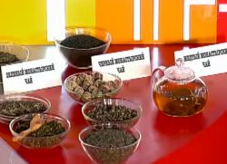 монастырский чай от диабета рецепт