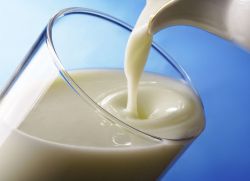 аллергия на белок коровьего молока