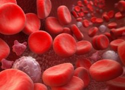 повышенные лейкоциты в крови причины