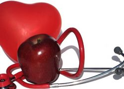 профилактика заболеваний сердечнососудистой системы