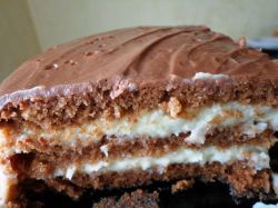 шоколадно кокосовый торт