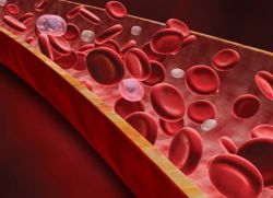 плазматические клетки анализ крови