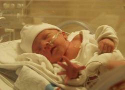 реанимация новорожденных при асфиксии