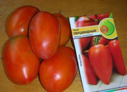томат перцевидный