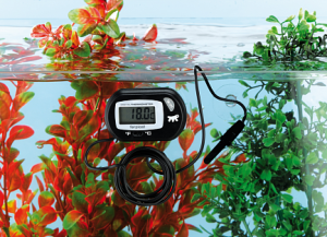 термометр для аквариума2