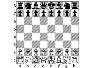 Правила игры в шахматы1