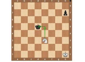 Правила игры в шахматы11