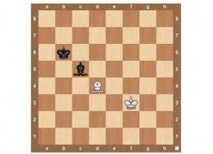 Правила игры в шахматы13
