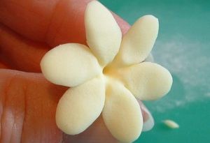 Цветы из сахарной мастики своими руками