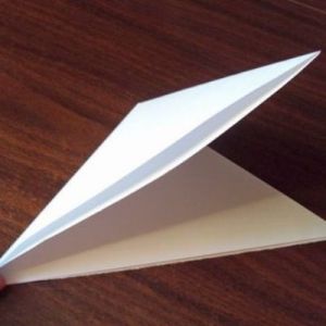 Как сделать из бумаги попугая 5