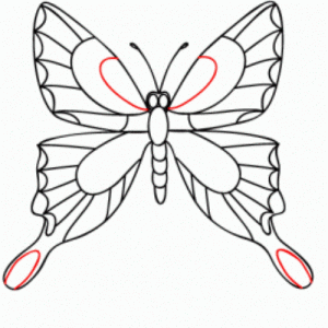 как нарисовать бабочку 17