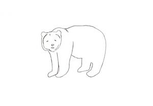 как нарисовать медведя 16