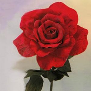Розы из гофрированной бумаги3
